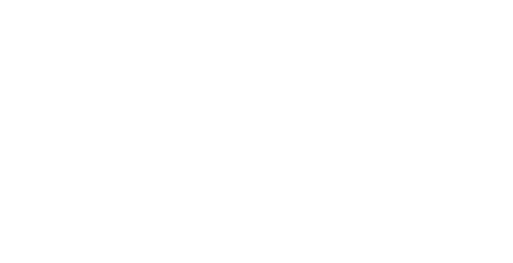 Laissez Faire Group